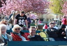 Polska Niedziela w Folkets Park w Malmö ...