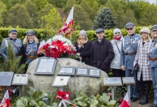 Dzień Polonii, Flagi i Konstytucji
