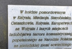 Dzień Polonii, Flagi i Konstytucji...