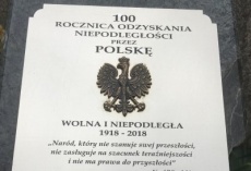 Dzień Polonii, Flagi i Konstytucji...